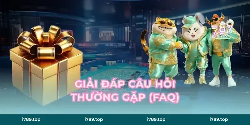 Giải Đáp Câu Hỏi Thường Gặp (FAQ)